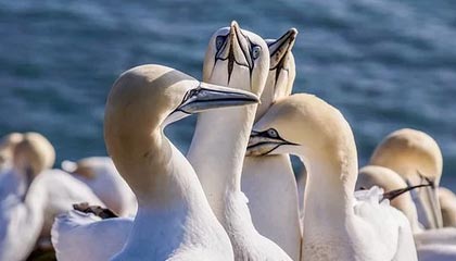 开云：开启云端创新的新篇章