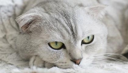 星空体育app：随时随地点亮你的运动热情