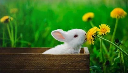 开云：开启云端创新的新篇章